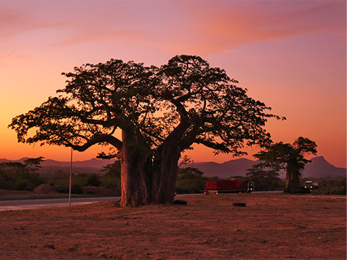 Catengue, Benguela